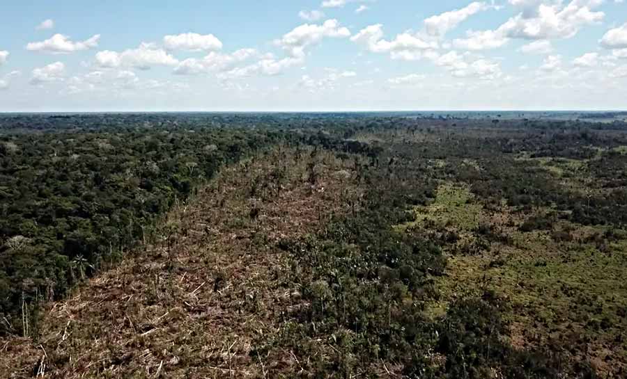 Com 320 km² de área destruída em 10 meses, Acre está entre estados com áreas protegidas mais desmatadas