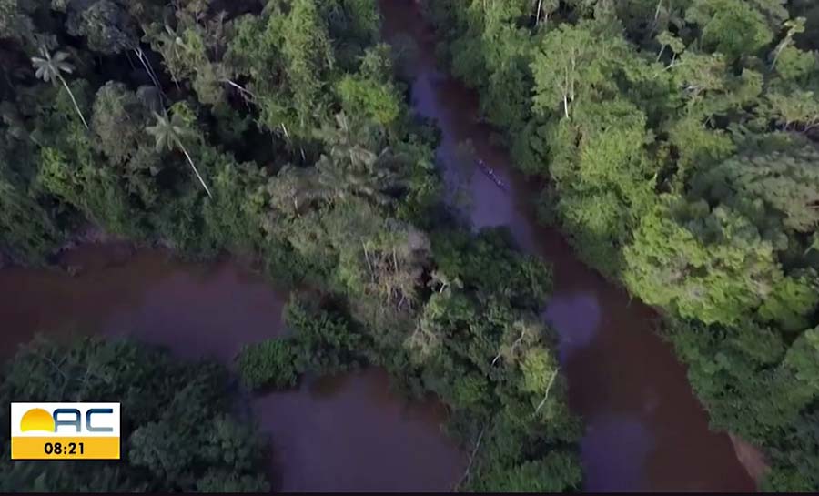 amazonia 002 web