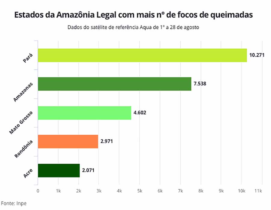 grafico 001