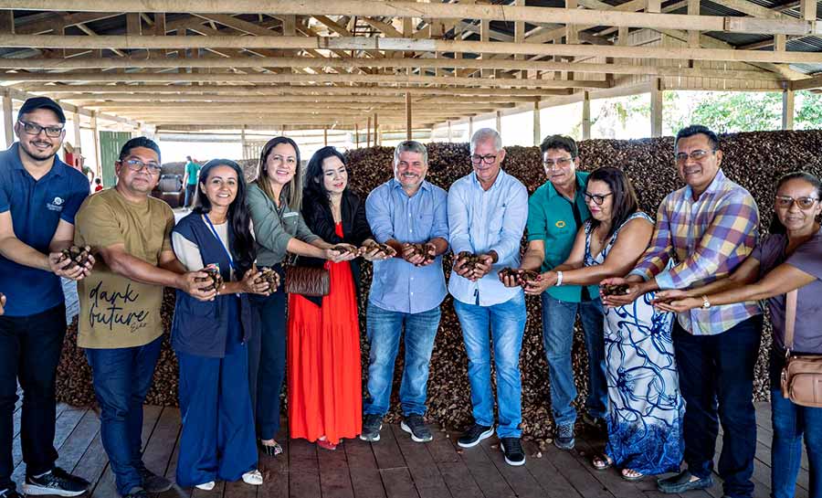 castanha 13