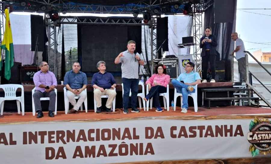 castanha 002