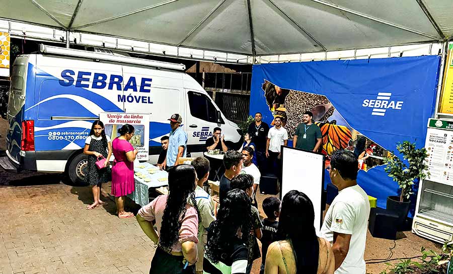 festival castanha 003