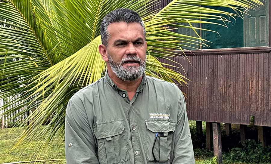 acao governo 011