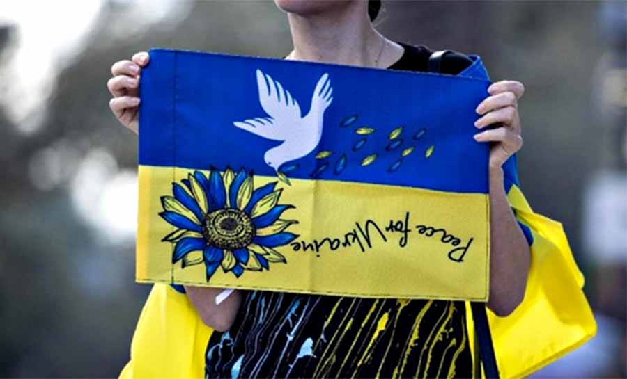 Imagem6