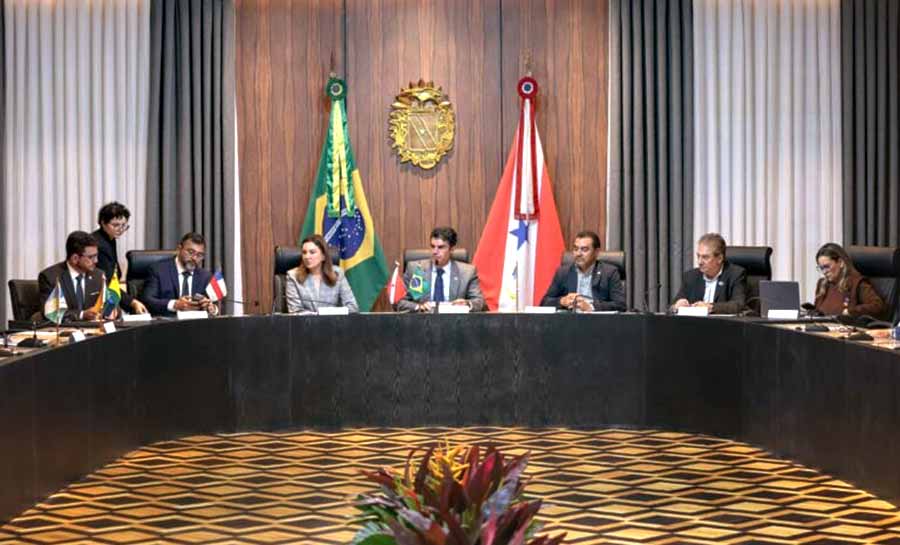 consorcio amazonia legal 004