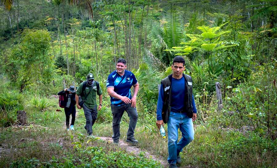 tce desmatamento 002