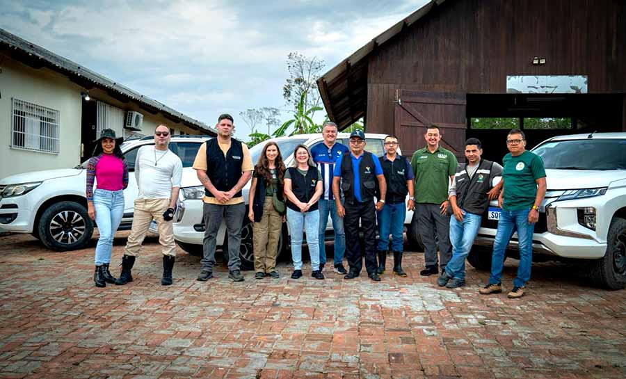 tce desmatamento 003