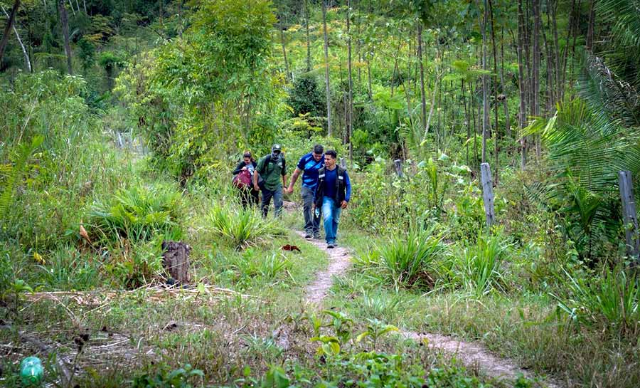 tce desmatamento 004