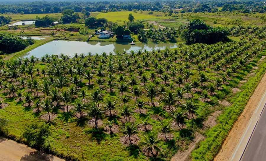 festival coco mancio lima 002