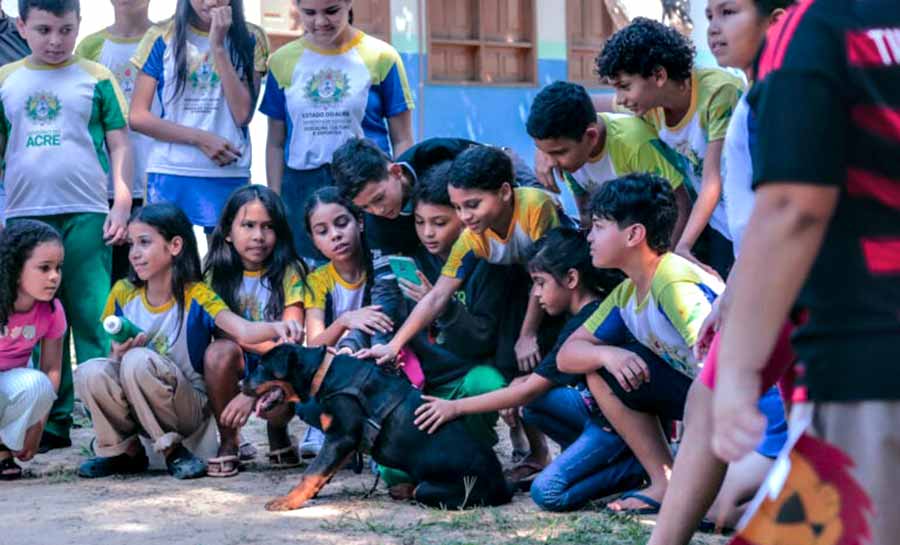 parceira programas governo 003