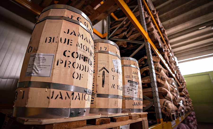 produtores cafe italia 004