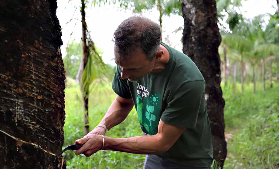 comunidade bonal 006