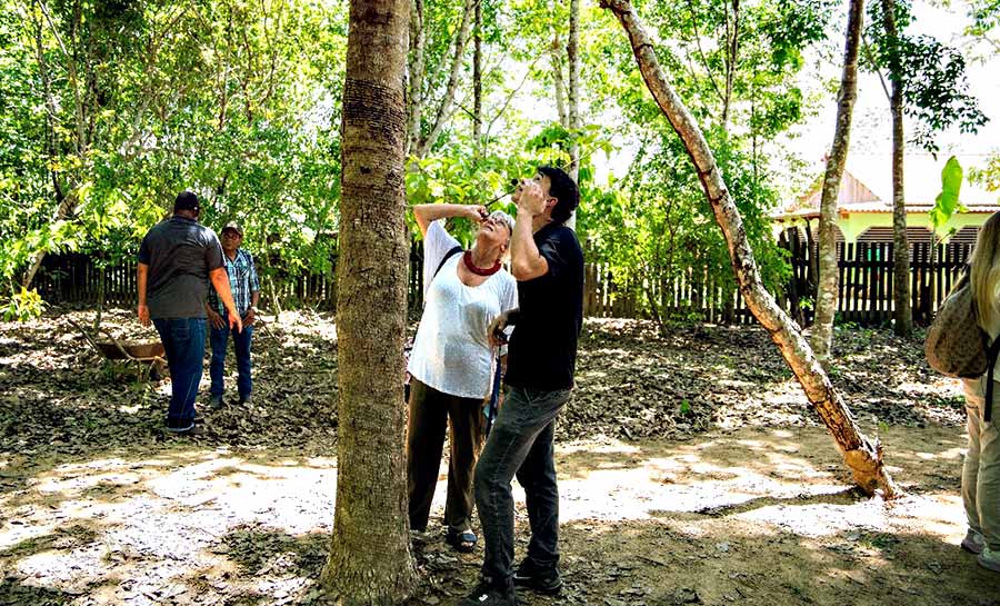 exporta mais amazonia 007