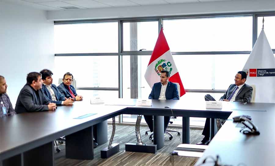 importacao morangos peru 002