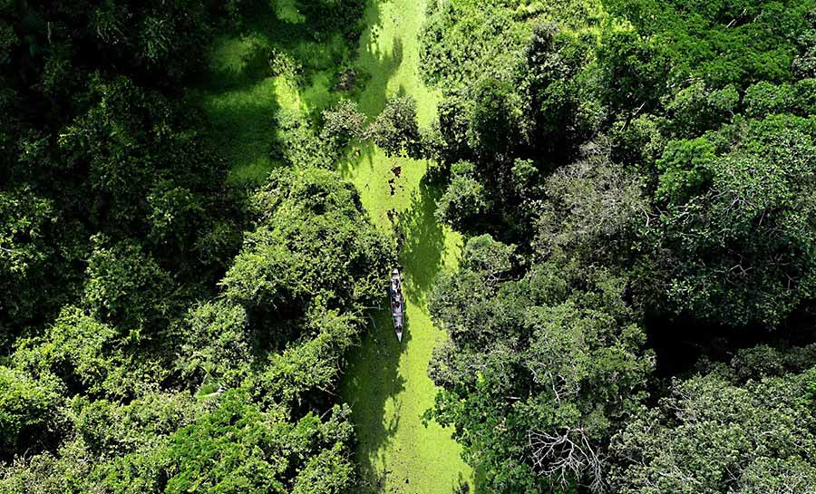 tratado de petropolis 009