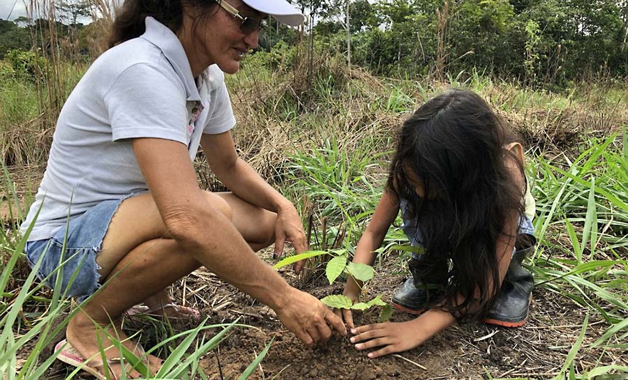 Com a plantação de mais de 105,3 mil mudas, projeto recupera 66 hectares de áreas degradadas no AC e fortalece sistemas agroflorestais
