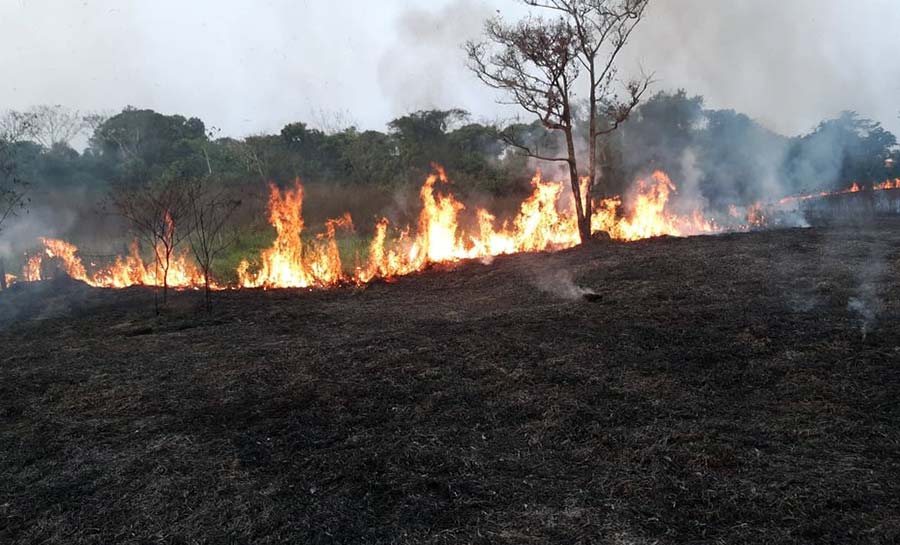 Acre tem aumento de 120% no número de focos de calor em um ano, aponta Inpe