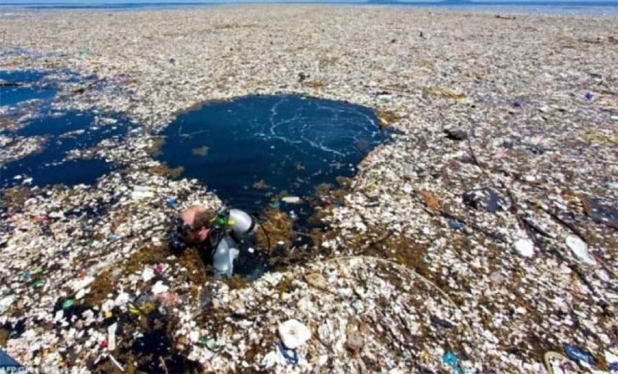 “Ilha do lixo” tornou-se limpa