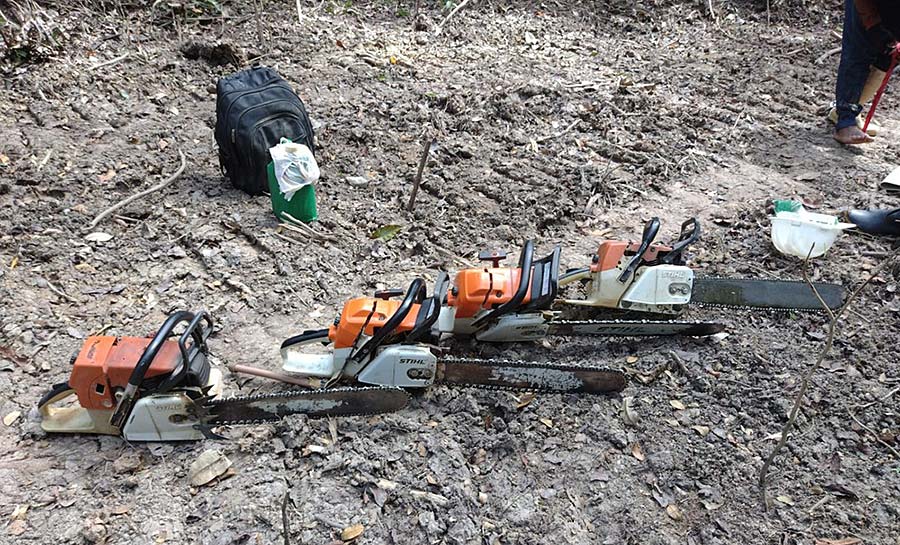 Alerta de desmatamento sobe para mais de 19 mil hectares no Acre e Segurança reforça operação contra crime ambientais