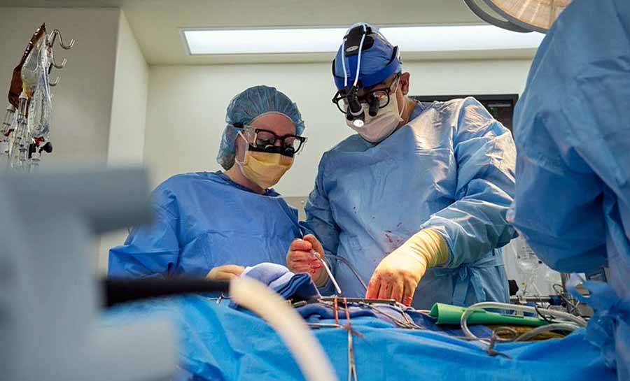 Dois humanos com morte cerebral recebem coração de porco nos EUA