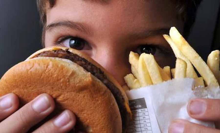 Alimentos ultraprocessados podem contribuir para perda cognitiva