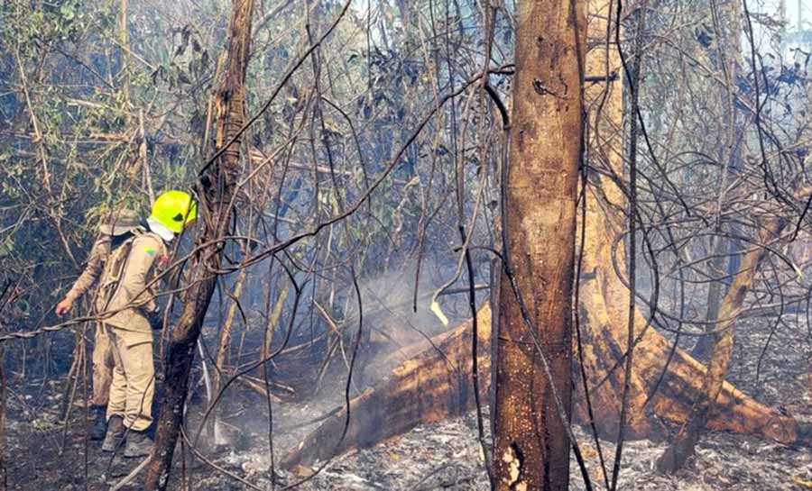 Acre em chamas: em cinco dias de setembro, estado registra mais de 1,7 mil focos de queimadas