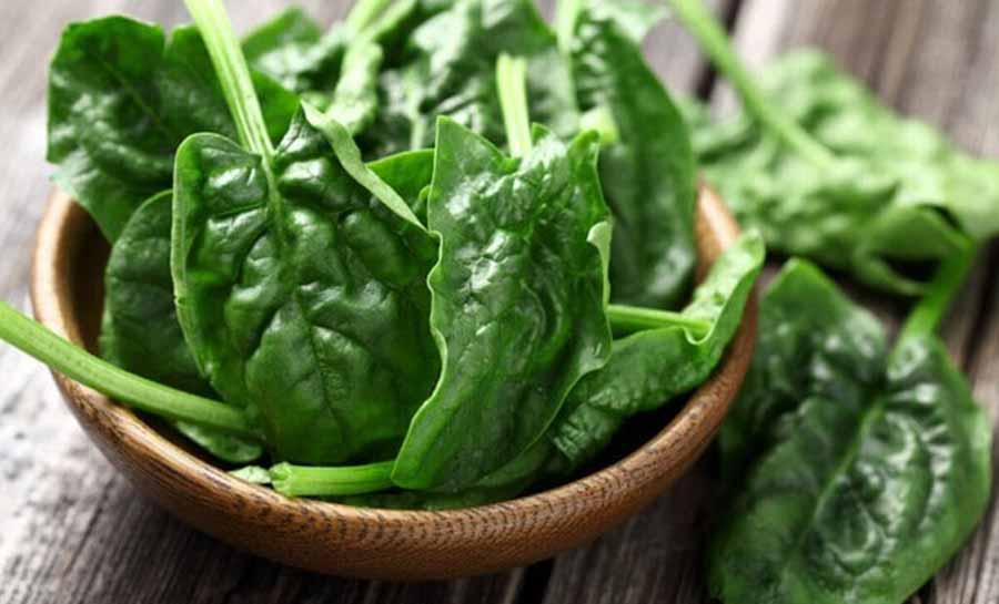 5 alimentos que ajudam a manter o bom funcionamento do organismo