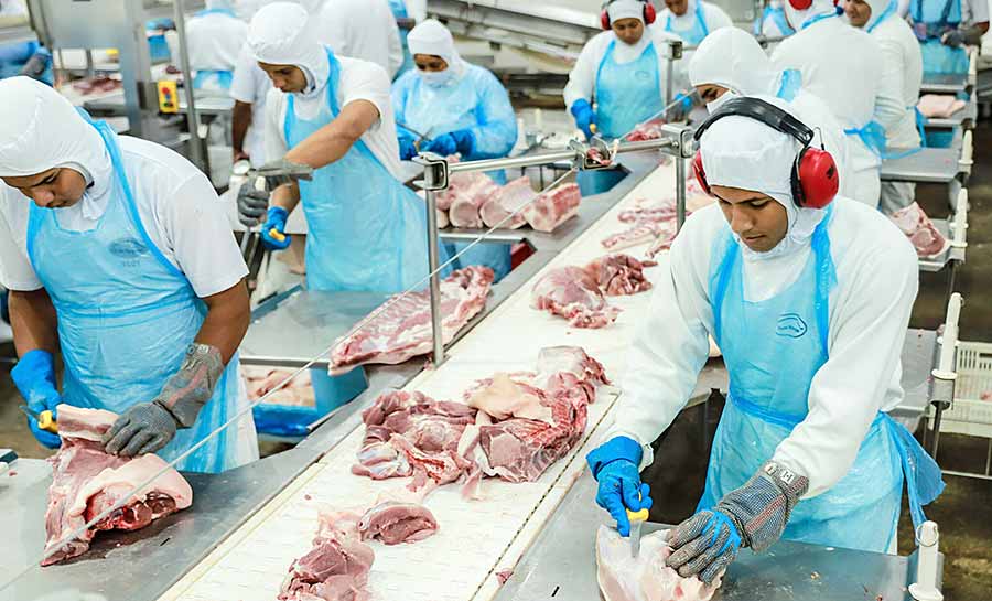 Dom Porquito: carne suína do Acre conquista o mundo