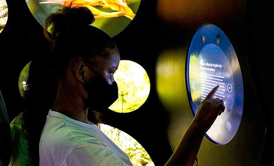 Apenas uma em quatro pessoas com deficiência concluem ensino básico