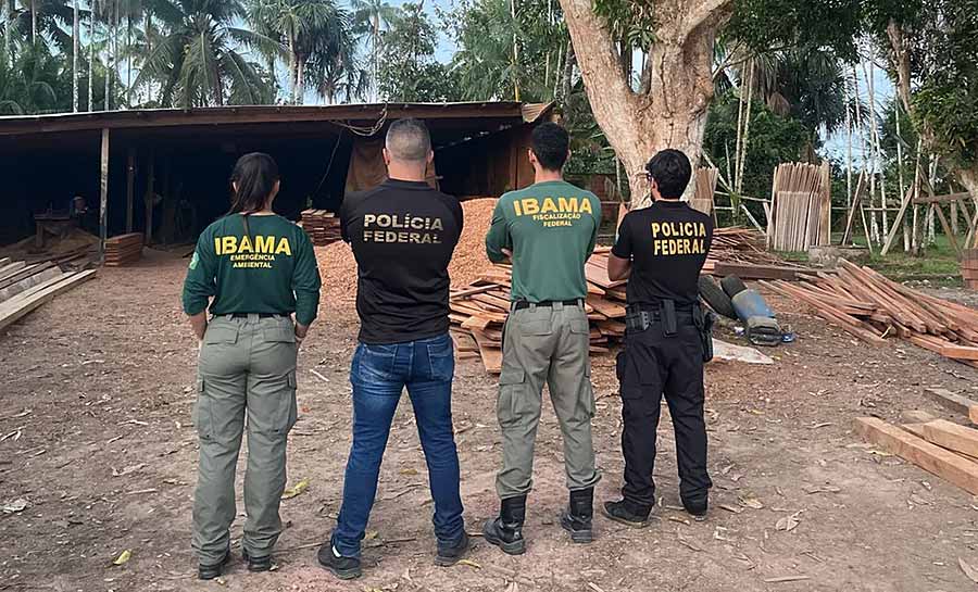 PF do Acre prende suspeitos de comércio ilegal de madeira em Guajará (AM)