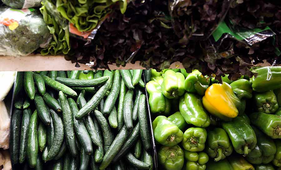 Pesquisa mostra que alimentos na mesa não refletem biodiversidade
