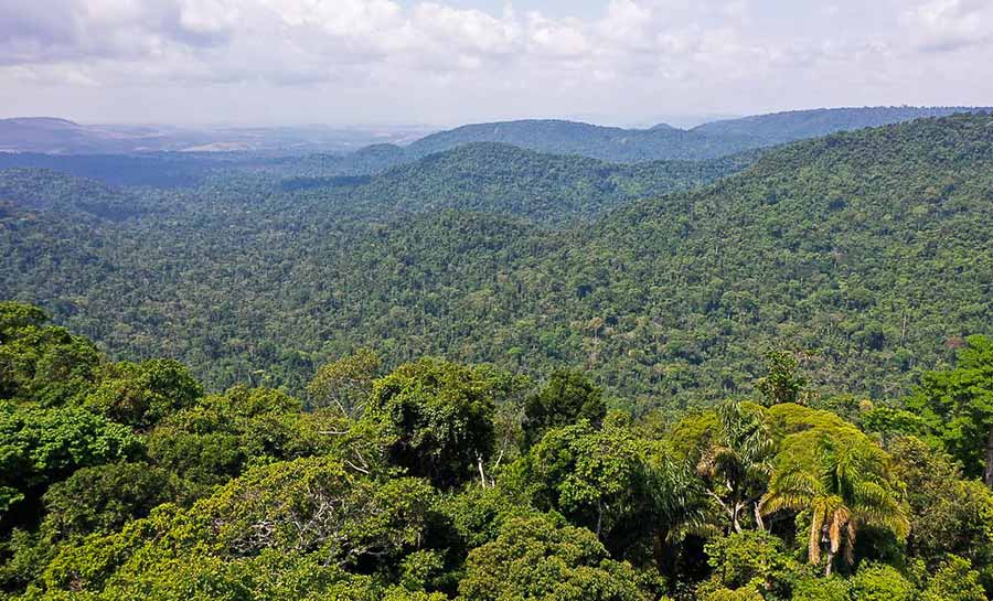 Festivais Dia da Amazônia alertam para defesa dos biomas brasileiros