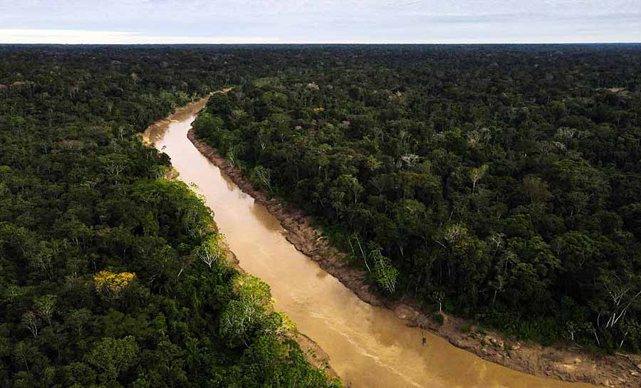 Acre comemora redução significativa de alertas de desmatamento e focos de queimadas