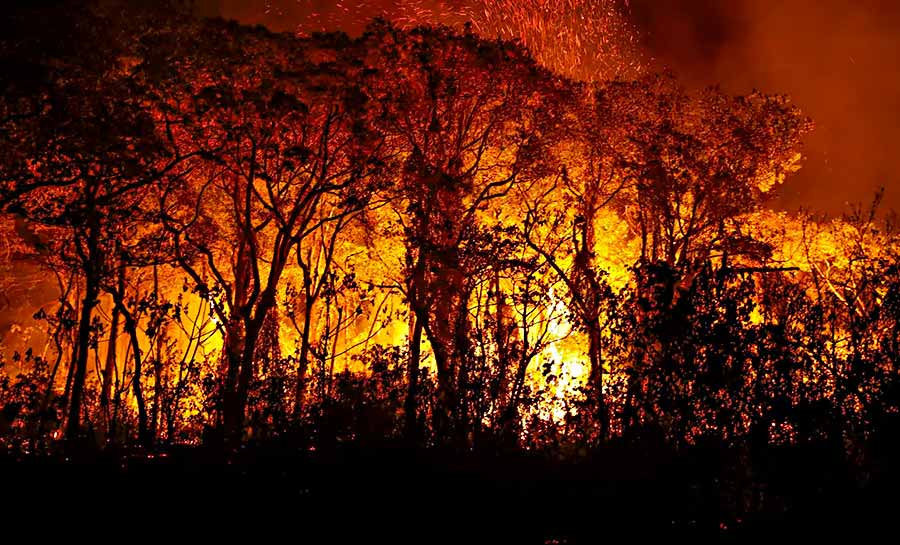 Pantanal tem mais de 3 mil incêndios em novembro; recorde histórico