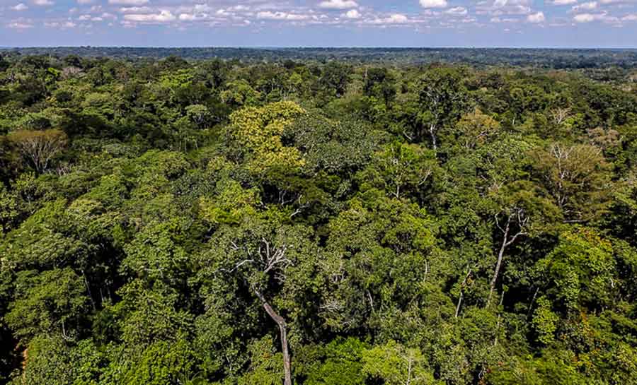 Acre fecha 2023 com redução de 45% no número de focos de queimadas