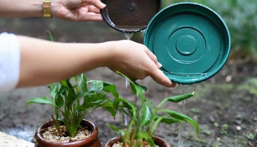 Decreto de emergência fortalece ações de combate a síndromes febris e pode dar prioridade ao Acre na vacinação contra dengue em março