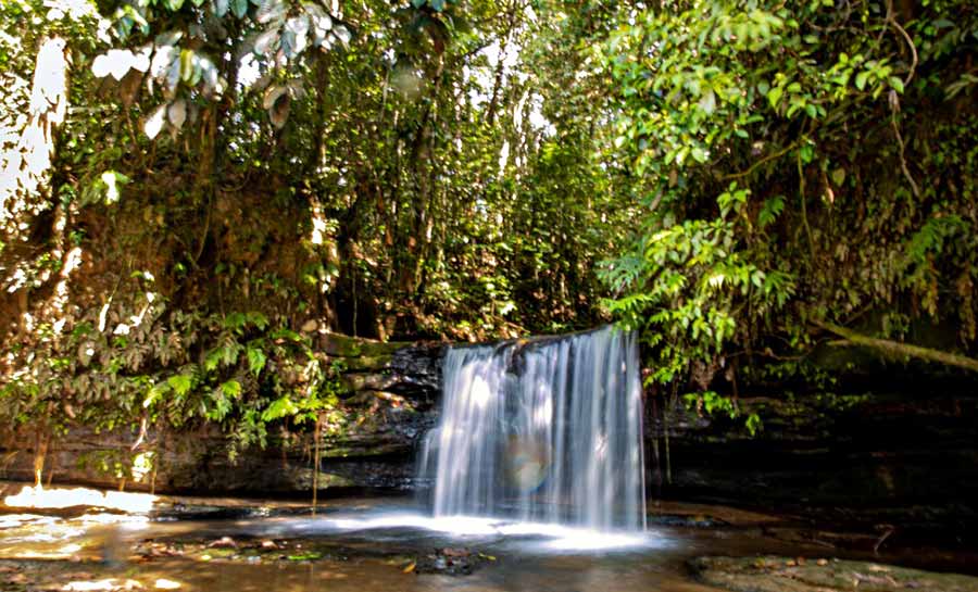 Governo do Acre institui sistema de gestão do projeto Rumo ao Desmatamento Ilegal Zero no Estado do Acre no âmbito do Fundo Amazônia