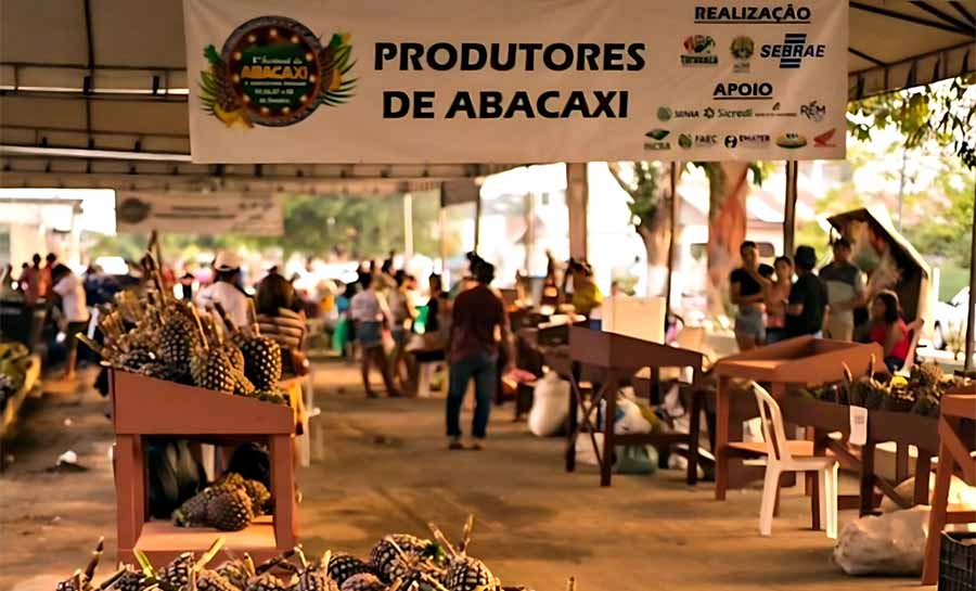 Com o apoio do Sebrae, XI Edição do Festival do abacaxi acontece em Tarauacá