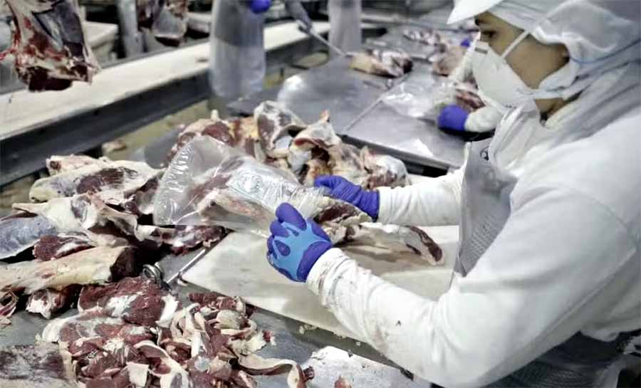 Em 2024, Acre cresce mais de 88% no número de exportações em comparação com 2023, diz ApexBrasil
