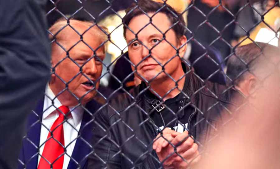 Como sobreviver a Trump e big techs