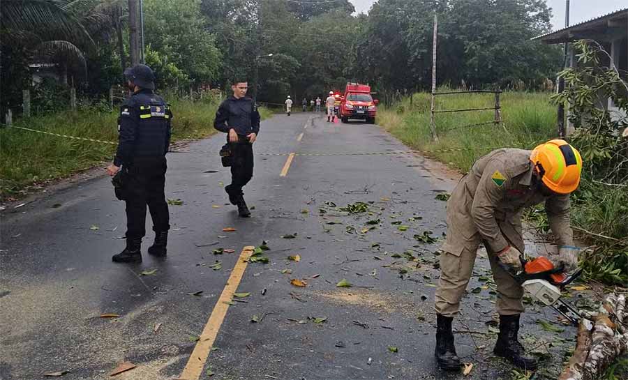Tempestade com ventos de até 40 km/h causa estragos em Cruzeiro do Sul