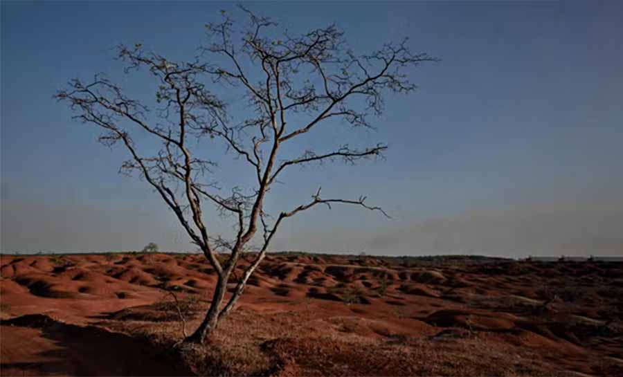 Arte de resistir aos novos tempos é complexa