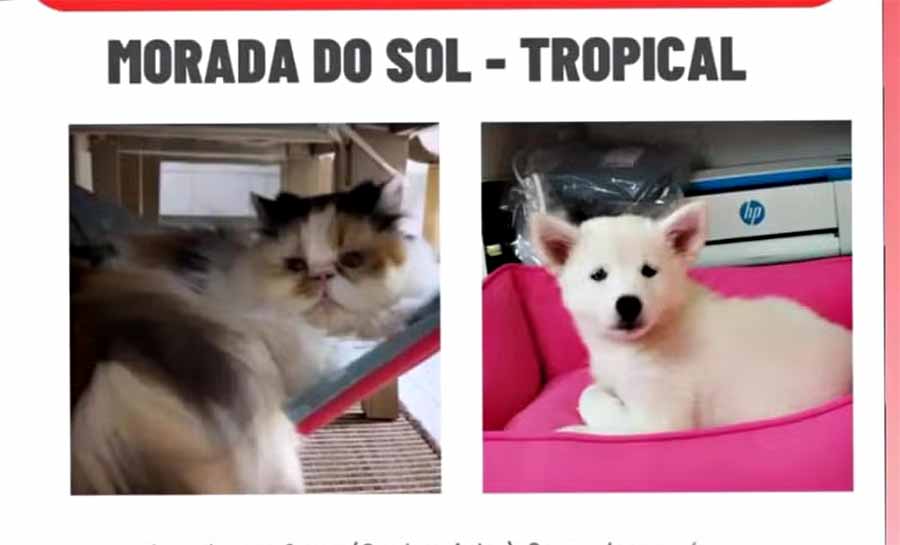 Criminosos rendem casal e levam animais de estimação da família no Acre