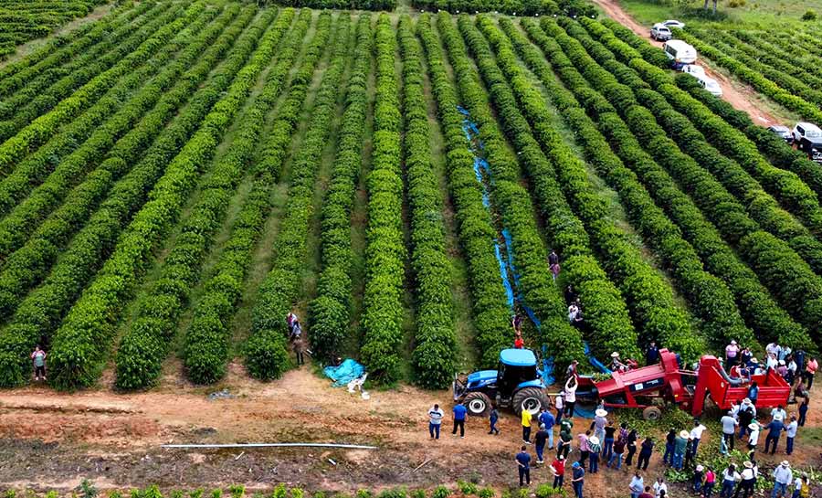 Produção de café do Acre ganha destaque em reportagem da Folha de São Paulo
