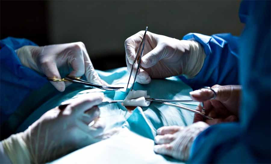 Mais de 42 mil brasileiros esperam por um transplante de rim