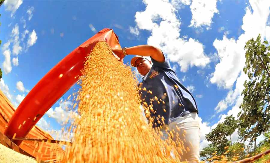 Crédito do BNDES para Plano Safra se aproxima de R$ 30 bilhões