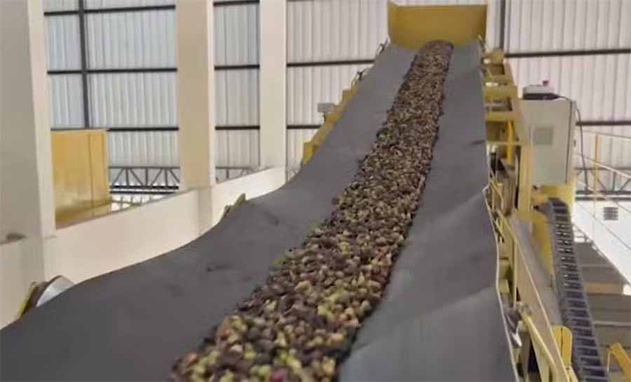 Complexo Industrial do Café deve beneficiar mais de 150 produtores do Vale do Juruá