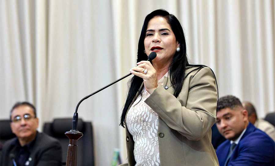 Deputada Maria Antônia defende melhorias na BR-364 e cobra solução para ponte de Rodrigues Alves