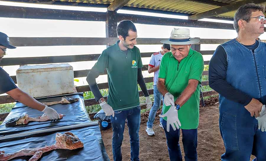 Prefeitura de Rio Branco e UFAC oferecem curso de inseminação artificial em gado leiteiro