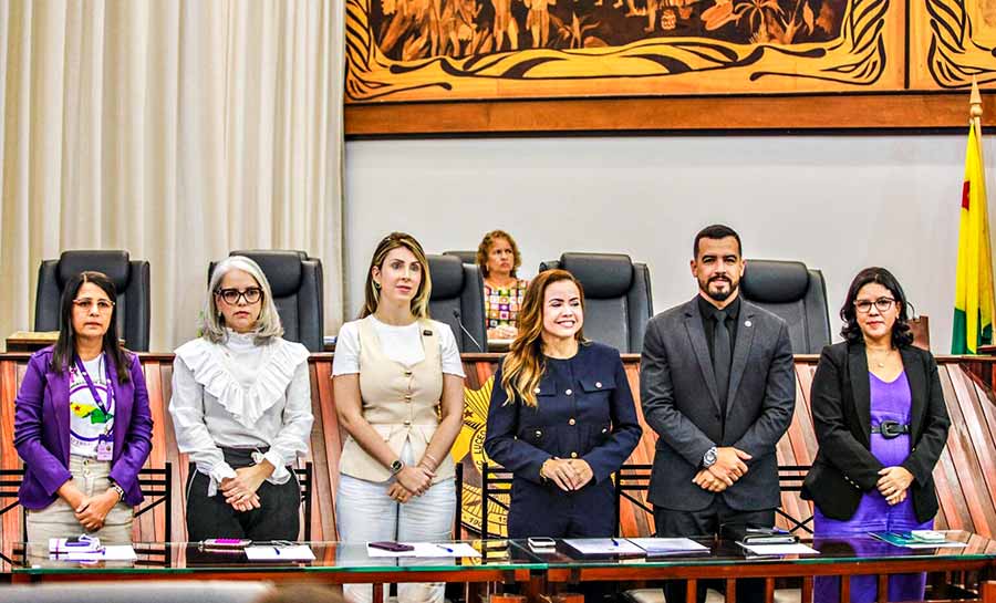 Audiência na Aleac debate importância da conscientização sobre a fibromialgia